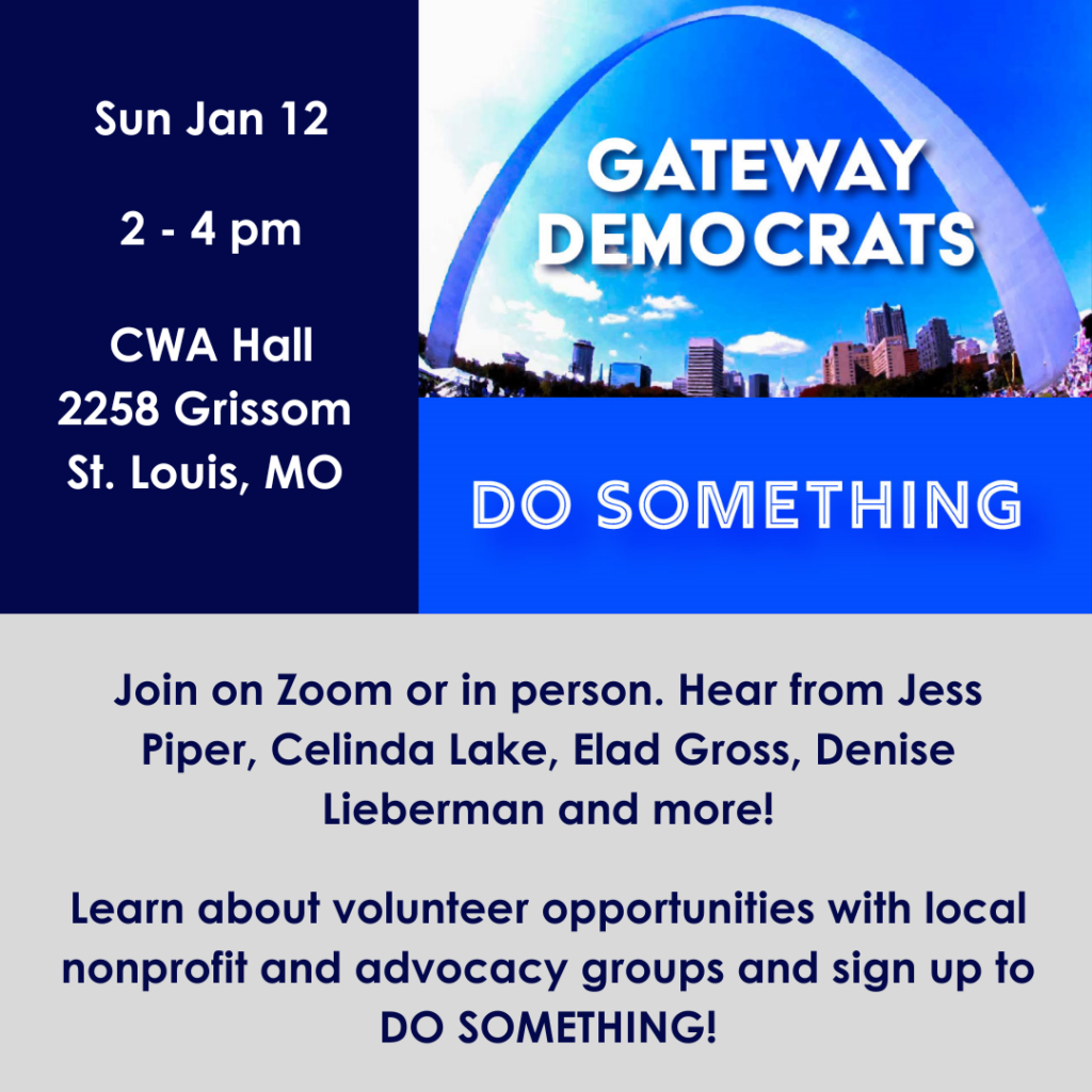 Sunday Jan 12 2-4 pm DO SOMETHING event